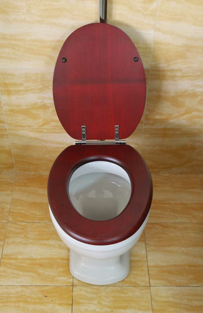 Classical bathroom toilet bowl