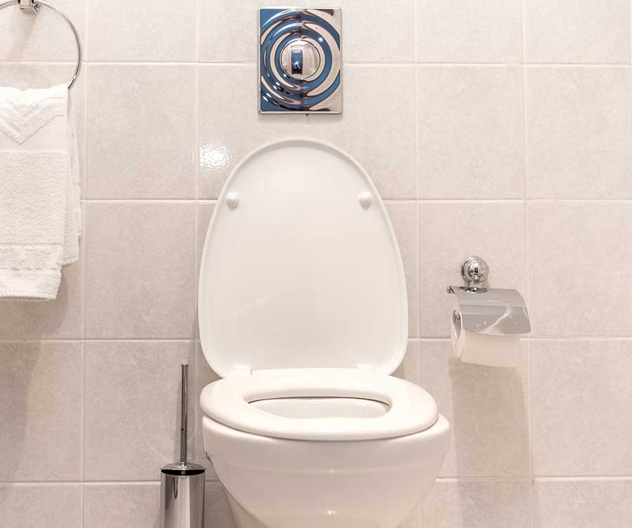 Plastic Toilet Seats Comparison