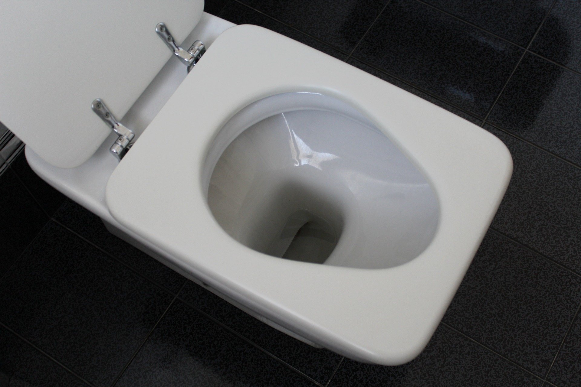 how-to-adjust-water-level-in-a-toilet-bowl-and-tank-toilet-haven