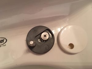 toilet-seat-caps