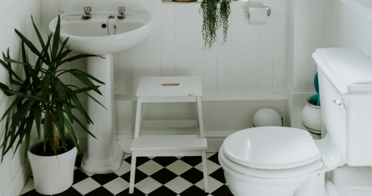 The 11 Best Compact Toilets for Small Bathrooms