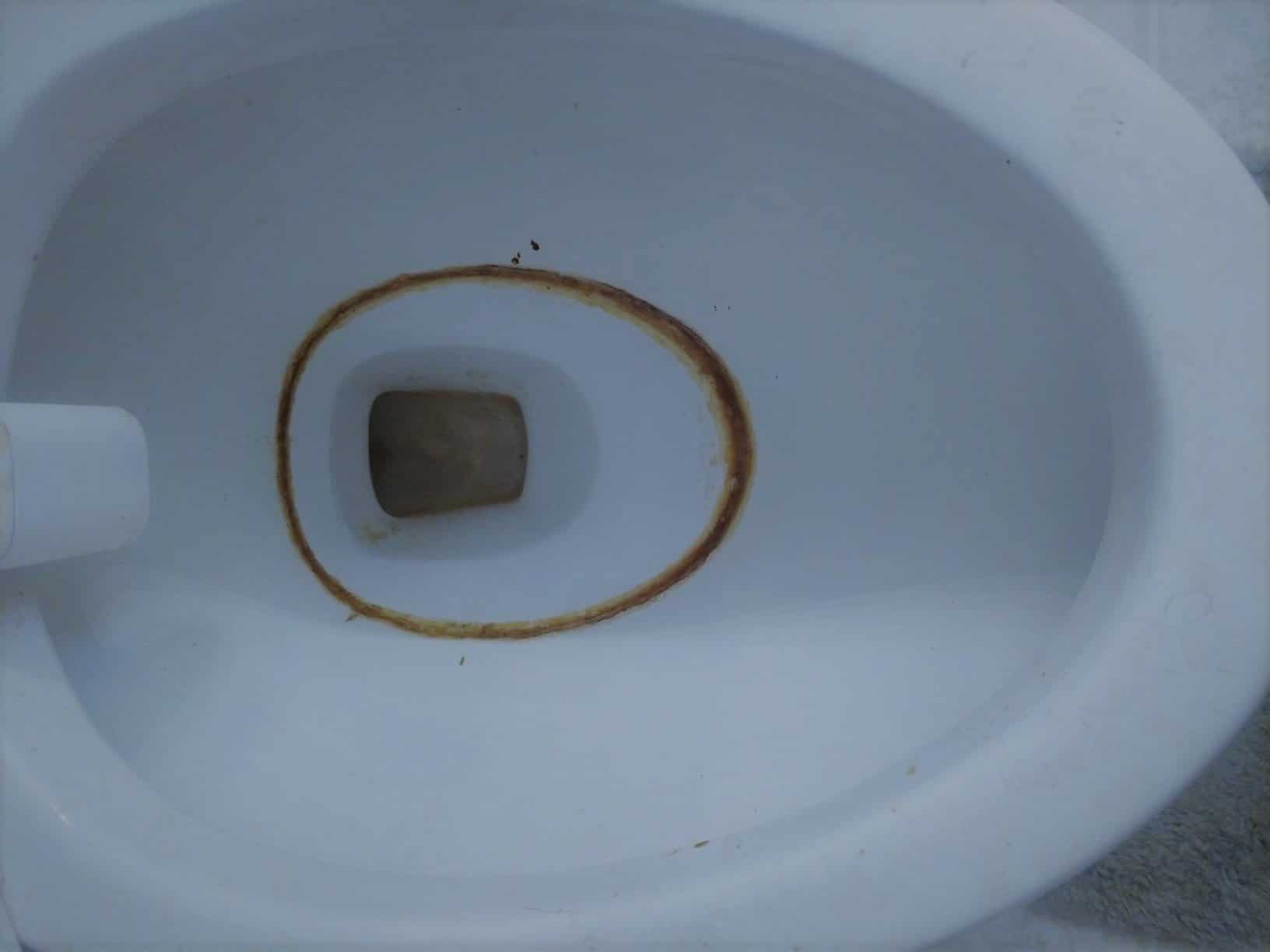 How to Get Rid of a Toilet Ring Without Scratching the Bowl - Toilet Haven