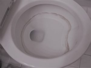 toilet-hard-water-stains