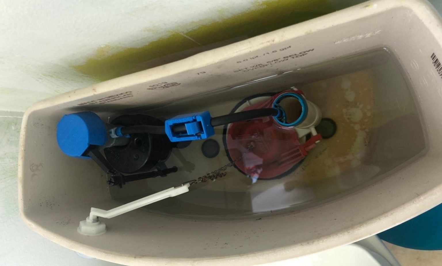 How to Clean a Toilet Siphon and Rim Jets Toilet Haven