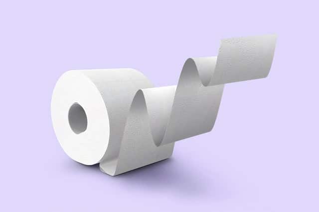 Best Freestanding Toilet Paper Holders, Free Standing Bathroom Toilet Paper Holder Stand With Reserve