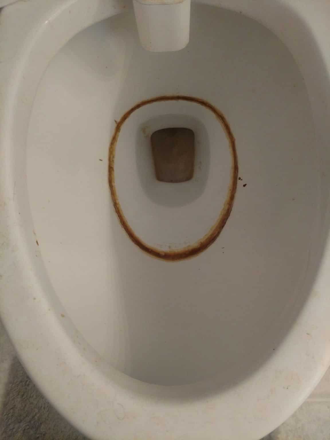 why-your-poop-sticks-on-the-toilet-and-how-to-stop-it-toilet-haven