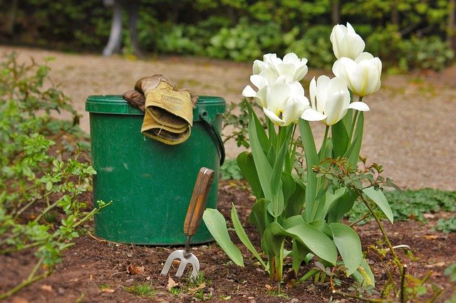 how-to-empty-a-bucket-toilet