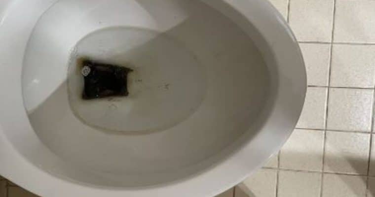 Blacks Stains in a Toilet Bowl? Why & How to Remove them