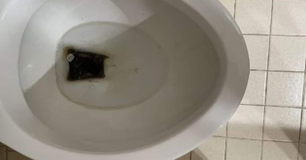Blacks Stains In A Toilet Bowl Why, How To Clean Black Stains On Bottom Of Bathtub