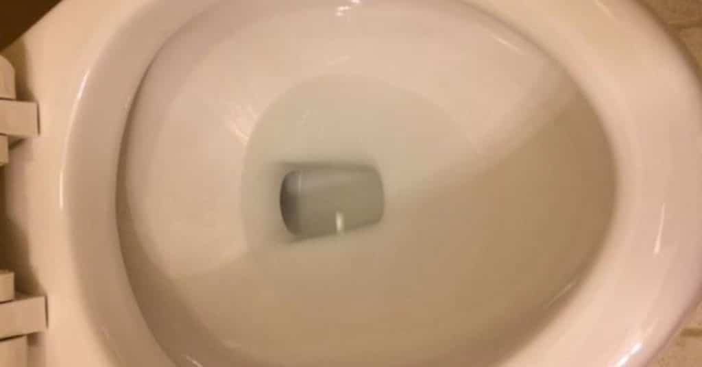 toilet-bowl