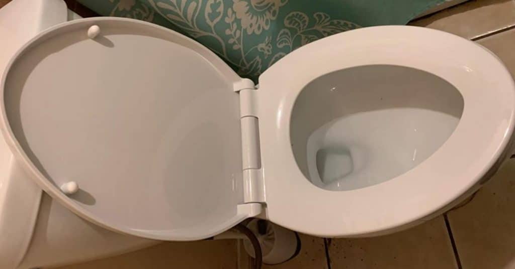 toilet-seat