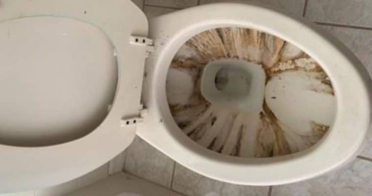 Brown Water in Toilet? Why and What to Do