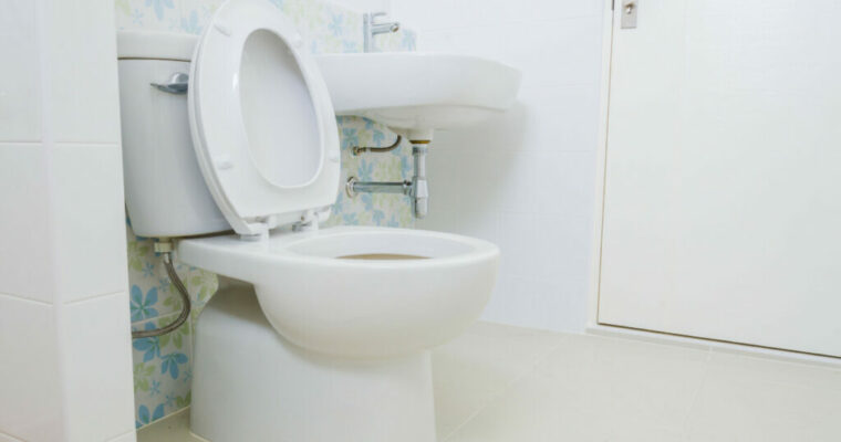 Toilet Seat Size Guide: Round Vs Elongated?