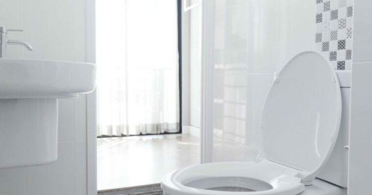 8 Steps On How to Paint Your Toilet