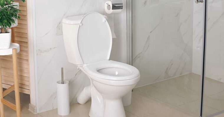 Top 8 Best Toilets For Heavy People