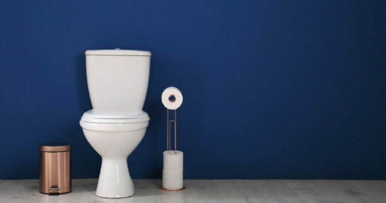 7 Solutions – When Your Toilet Bowl Keeps Losing Water