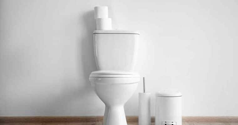 Top Best Tall Toilet Bowls: By Height