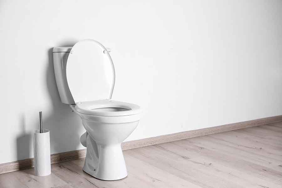 Top Best Tall Toilet Bowls: By Height Part 2