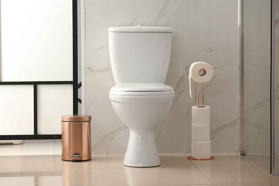 Top Best Tall Toilet Bowls: By Height Part 3