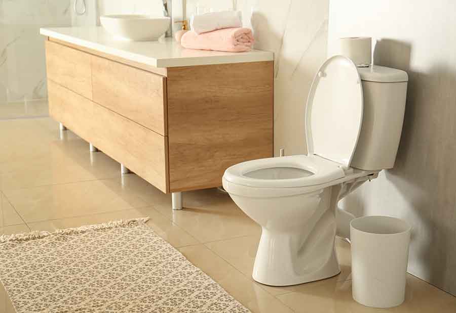 Top Best Tall Toilet Bowls: By Height Part 5