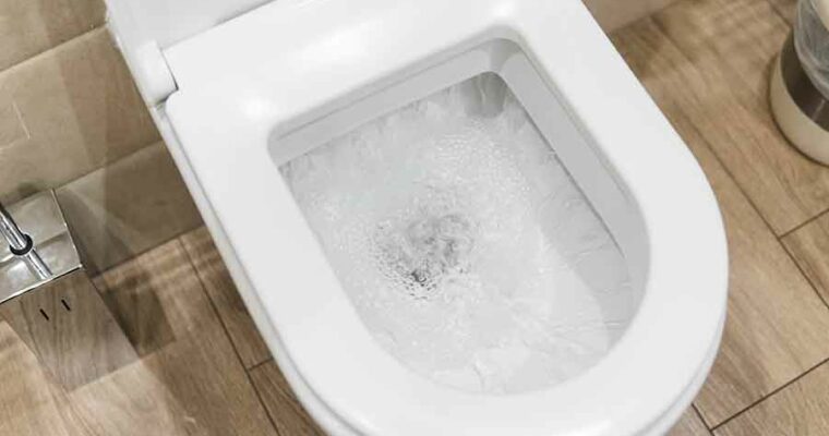 9 Solutions For Too Much Water in the Toilet Bowl